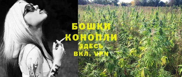мяу мяу мука Осташков