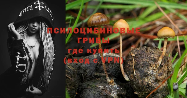 индика Алексеевка