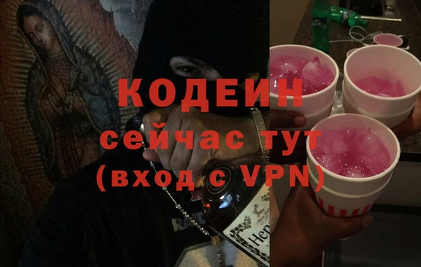 амф Няндома